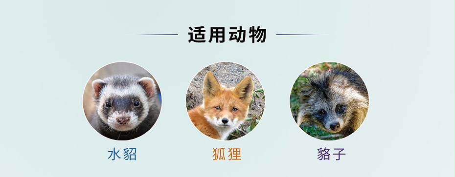 毛皮動(dòng)物的血蟲(chóng)病鹽酸多西環(huán)素可溶性粉青島康地恩專(zhuān)賣(mài) 毛皮動(dòng)物的血蟲(chóng)病鹽酸多西環(huán)素可溶性粉青島康地恩專(zhuān)賣(mài)