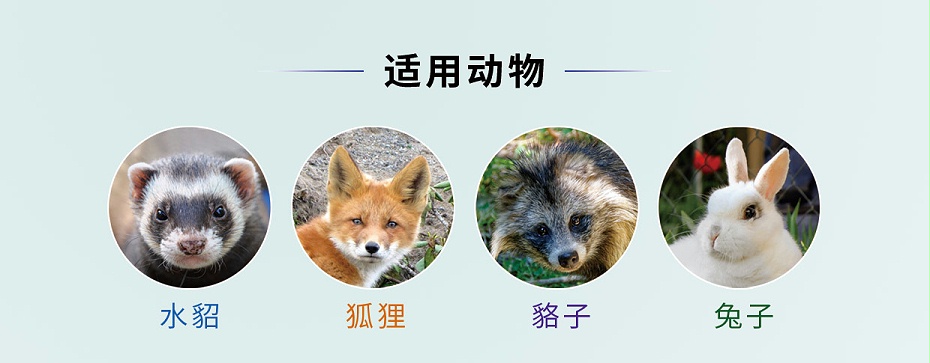 貂狐貉兔等毛皮動(dòng)物退熱解表藥-卡巴匹林鈣可溶性批發(fā)-青島康地恩 貂狐貉兔等毛皮動(dòng)物退熱解表藥-卡巴匹林鈣可溶性批發(fā)-青島康地恩