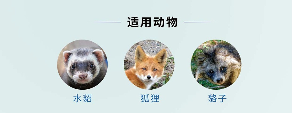 貂狐貉感冒、消炎殺菌、乳房炎藥廠家-青島康地恩-1