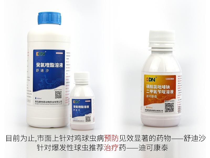 雞球蟲病預(yù)防推薦用藥——舒迪沙。爆發(fā)性球蟲治療藥——迪可康泰。