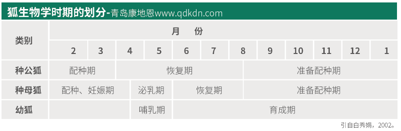 狐貍生物學(xué)時(shí)期怎么劃分？【康地恩毛皮養(yǎng)殖】